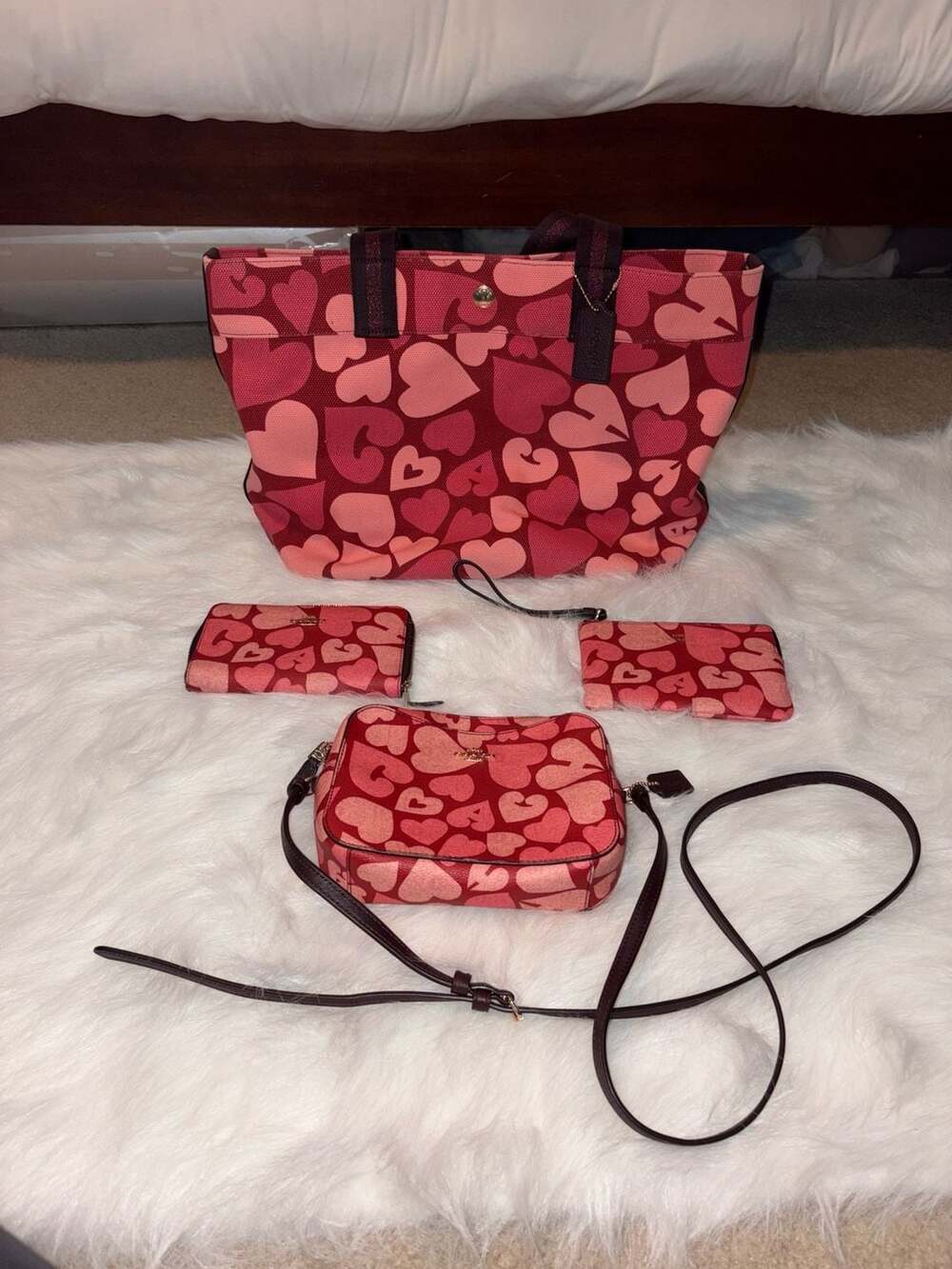 Coach Heart Print 4-Piece Set: Tote 91169, Jes Camera Bag, Zip Wallet, and Wrist